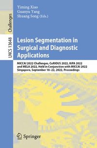 bokomslag Lesion Segmentation in Surgical and Diagnostic Applications