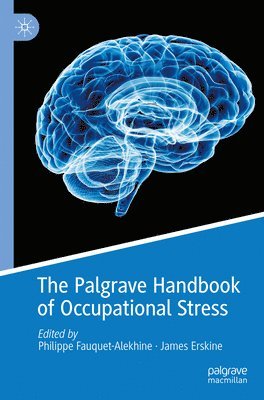 Philippe Fauquet-Alekhine, James Erskine - Palgrave Handbook of Occupational Stress, Häftad
