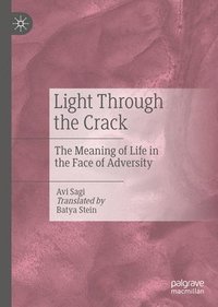 bokomslag Light Through the Crack
