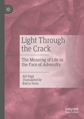 Avi Sagi - Light Through the Crack, Häftad