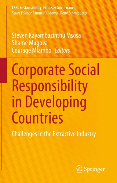 Steven Kayambazinthu Msosa, Shame Mugova, Courage Mlambo - Corporate Social Responsibility in Developing Countries, Inbunden