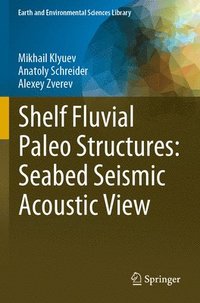 bokomslag Shelf Fluvial Paleo Structures: Seabed Seismic Acoustic View