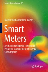 bokomslag Smart Meters