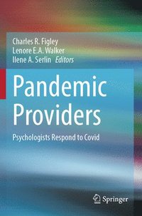 bokomslag Pandemic Providers