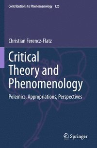 bokomslag Critical Theory and Phenomenology