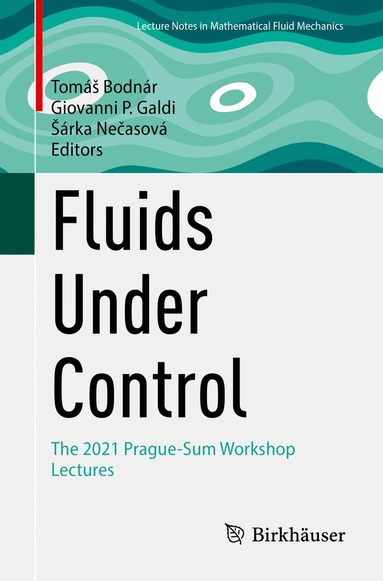 Tomáš Bodnár, Giovanni P. Galdi, Šárka Nečasová - Fluids Under Control, Häftad