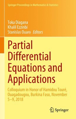 bokomslag Partial Differential Equations and Applications