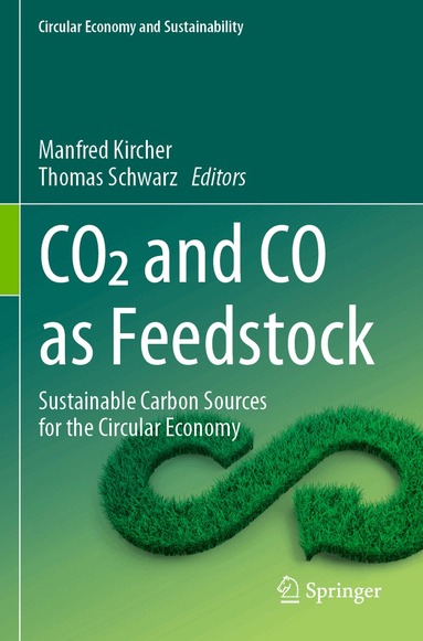 Manfred Kircher, Thomas Schwarz - CO2 and CO as Feedstock, Häftad