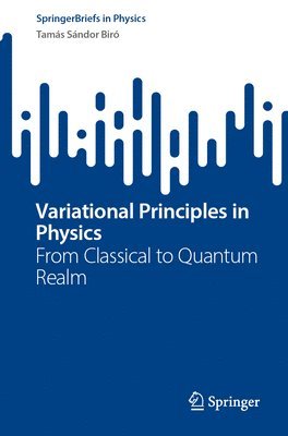 bokomslag Variational Principles in Physics