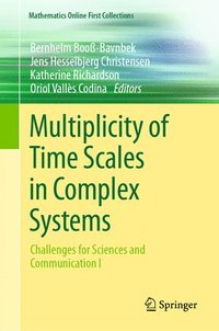 bokomslag Multiplicity of Time Scales in Complex Systems