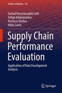 bokomslag Supply Chain Performance Evaluation