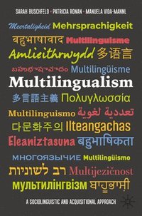 bokomslag Multilingualism