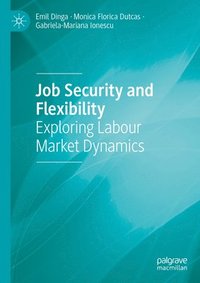 bokomslag Job Security and Flexibility