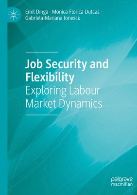 bokomslag Job Security and Flexibility