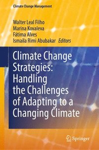 bokomslag Climate Change Strategies: Handling the Challenges of Adapting to a Changing Climate