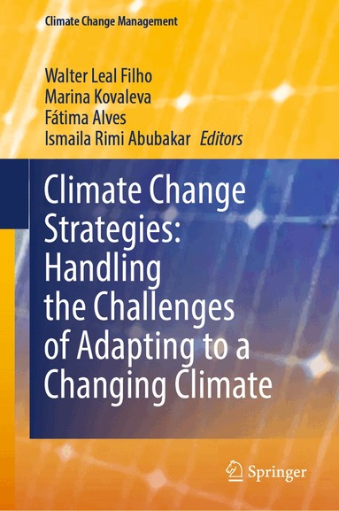Walter Leal Filho, Marina Kovaleva, Fátima Alves, Ismaila Rimi Abubakar - Climate Change Strategies: Handling the Challenges of Adapting to a Changing Climate, Inbunden