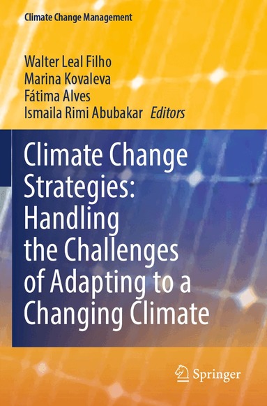 Walter Leal Filho, Marina Kovaleva, Fátima Alves, Ismaila Rimi Abubakar - Climate Change Strategies: Handling the Challenges of Adapting to a Changing Climate, Häftad