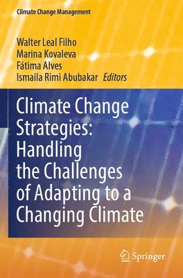 bokomslag Climate Change Strategies: Handling the Challenges of Adapting to a Changing Climate