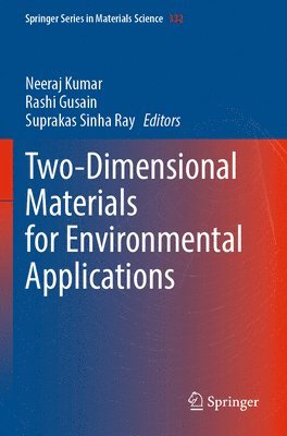 bokomslag Two-Dimensional Materials for Environmental Applications