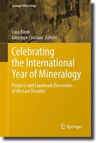 bokomslag Celebrating the International Year of Mineralogy