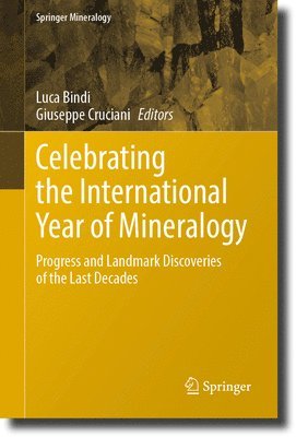 bokomslag Celebrating the International Year of Mineralogy