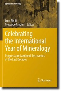 bokomslag Celebrating the International Year of Mineralogy