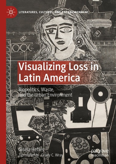 Gisela Heffes - Visualizing Loss in Latin America, Inbunden