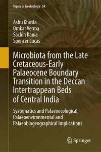 bokomslag Microbiota from the Late Cretaceous-Early Palaeocene Boundary Transition in the Deccan Intertrappean Beds of Central India