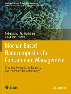 bokomslag Biochar-Based Nanocomposites for Contaminant Management