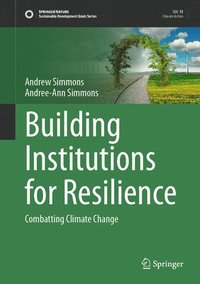 bokomslag Building Institutions for Resilience