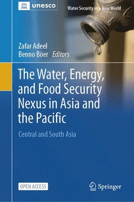 bokomslag The Water, Energy, and Food Security Nexus in Asia and the Pacific