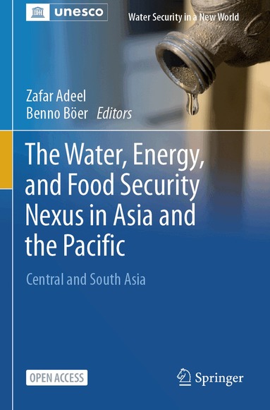 Zafar Adeel, Benno Böer - Water, Energy, and Food Security Nexus in Asia and the Pacific, Häftad
