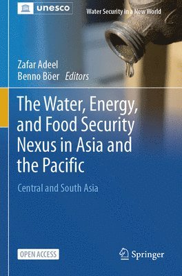 bokomslag The Water, Energy, and Food Security Nexus in Asia and the Pacific