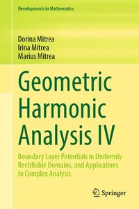 bokomslag Geometric Harmonic Analysis IV