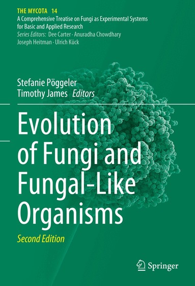 Stefanie Pöggeler, Timothy James - Evolution of Fungi and Fungal-Like Organisms, Inbunden