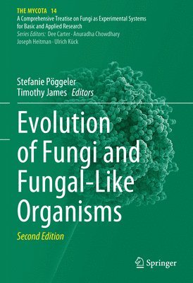 bokomslag Evolution of Fungi and Fungal-Like Organisms