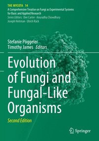 bokomslag Evolution of Fungi and Fungal-Like Organisms