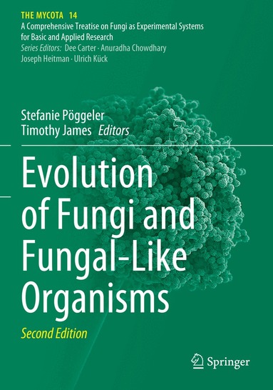 Stefanie Pöggeler, Timothy James - Evolution of Fungi and Fungal-Like Organisms, Häftad