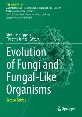 bokomslag Evolution of Fungi and Fungal-Like Organisms