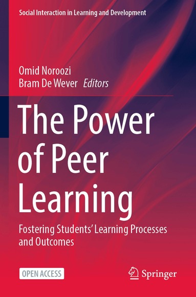 Omid Noroozi, Bram De Wever - Power of Peer Learning, Häftad