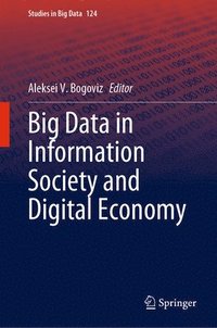 bokomslag Big Data in Information Society and Digital Economy