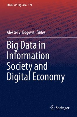 Aleksei V. Bogoviz - Big Data in Information Society and Digital Economy, Häftad