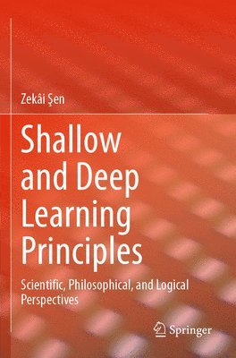 bokomslag Shallow and Deep Learning Principles