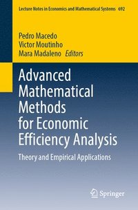 bokomslag Advanced Mathematical Methods for Economic Efficiency Analysis