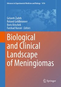 bokomslag Biological and Clinical Landscape of Meningiomas