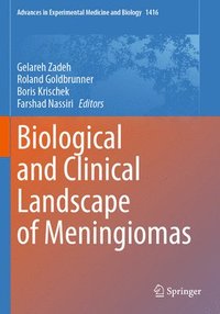 bokomslag Biological and Clinical Landscape of Meningiomas