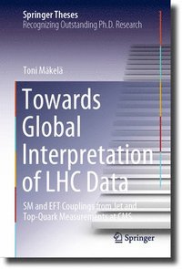 bokomslag Towards Global Interpretation of LHC Data