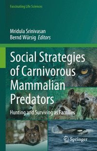 bokomslag Social Strategies of Carnivorous Mammalian Predators