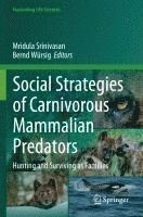 bokomslag Social Strategies of Carnivorous Mammalian Predators