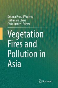bokomslag Vegetation Fires and Pollution in Asia